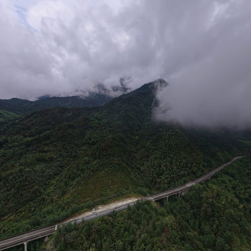 天岳幕阜森林公园随拍