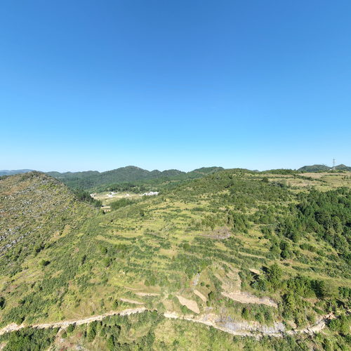 森林防火