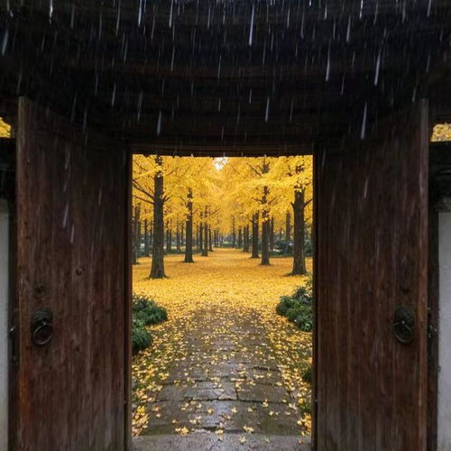 秋天的雨vr课件