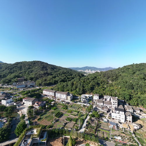 20261022雄岙村美丽田园